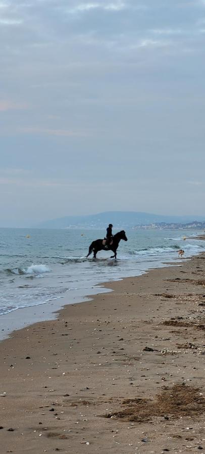 Villers Plage 1 Exterior photo